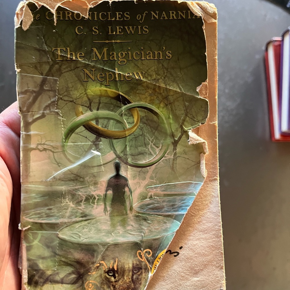 Narnia book